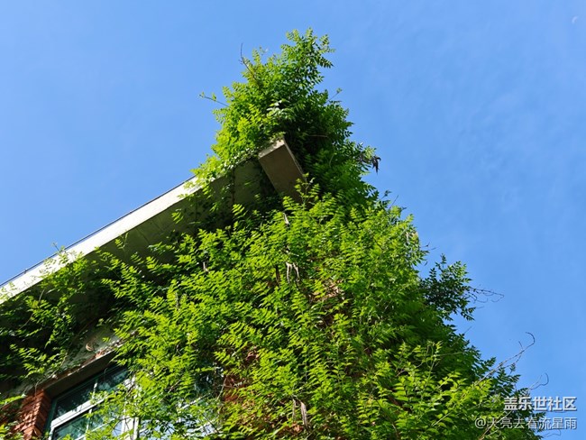 【一人行漫游錄】獨行感悟