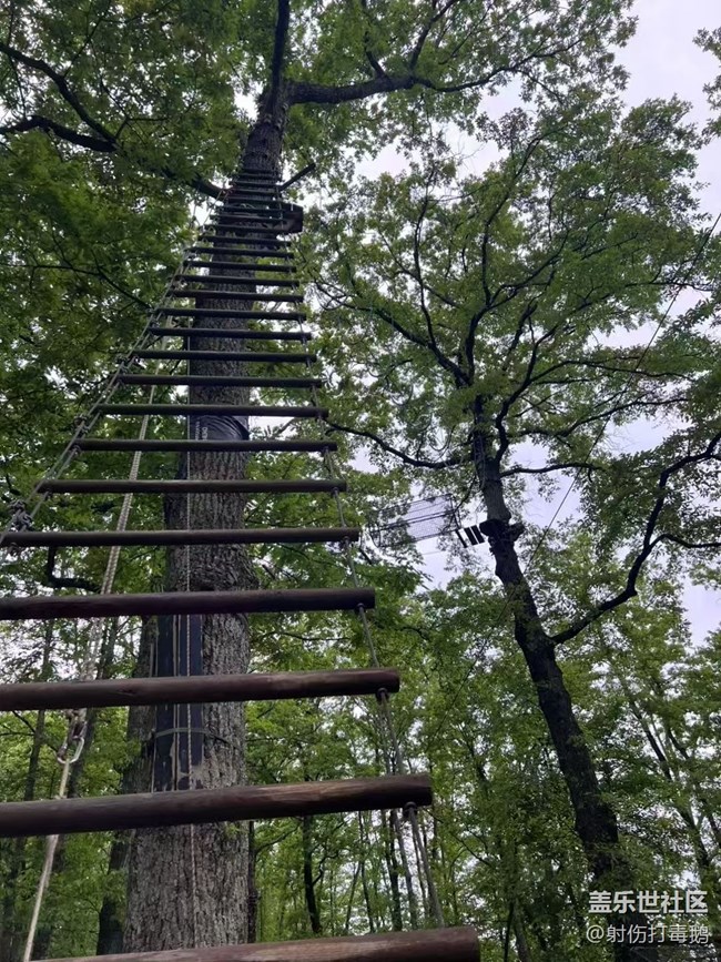 【一人行漫游錄】戶外拓展