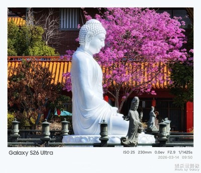 【人間三月】+花開無聲