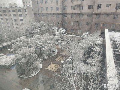春雪