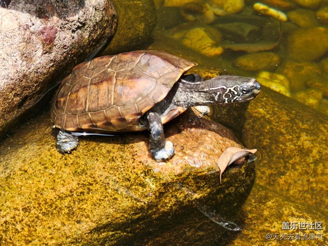 【一人行漫游錄】獨行感悟