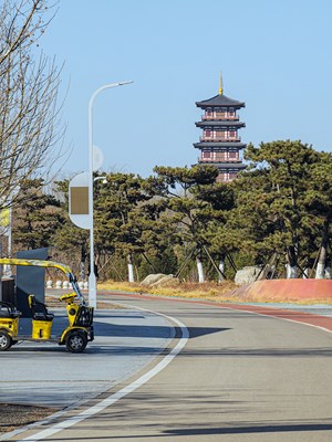 【攝影版塊三月第四周】春光里