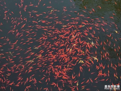 【人間三月】人民公園溜一圈