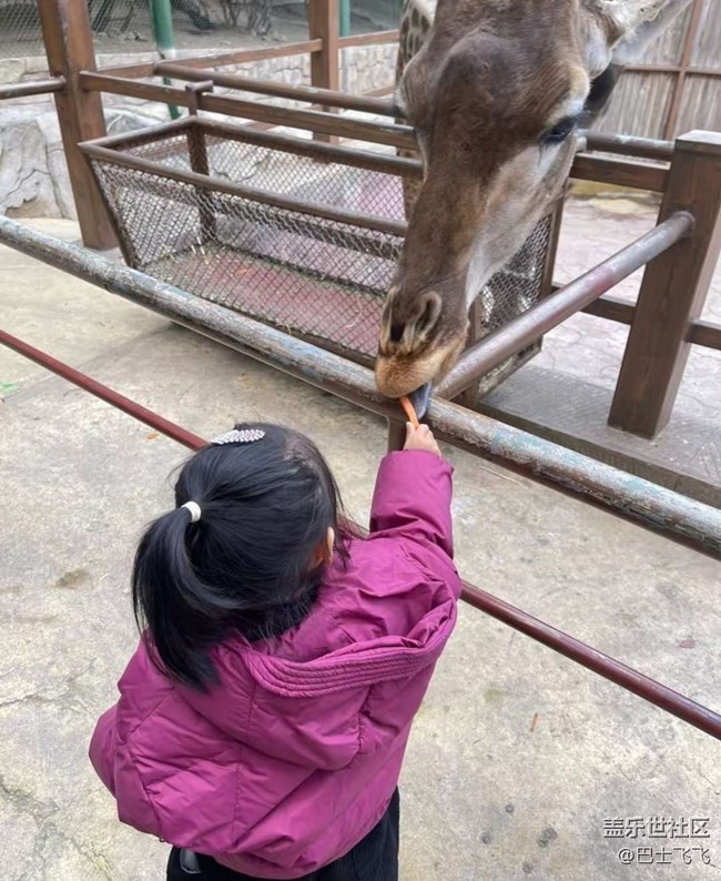 【一人行漫游錄】逛動物園
