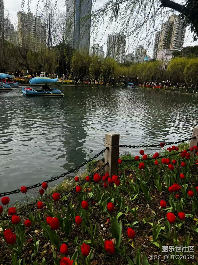 【一人行漫游錄】拍花