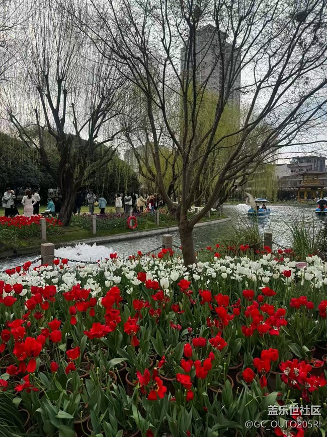 【一人行漫游錄】拍花