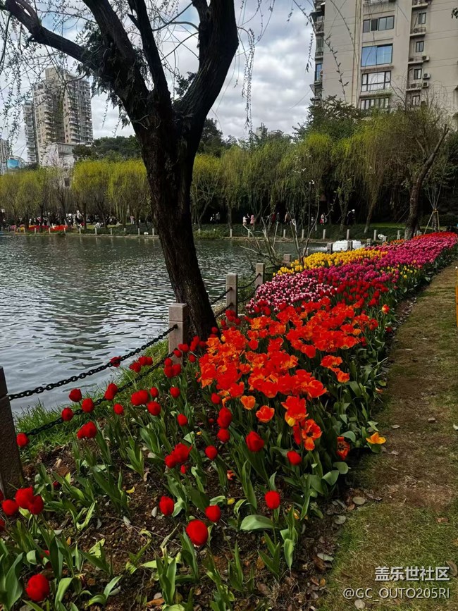 【一人行漫游錄】拍花