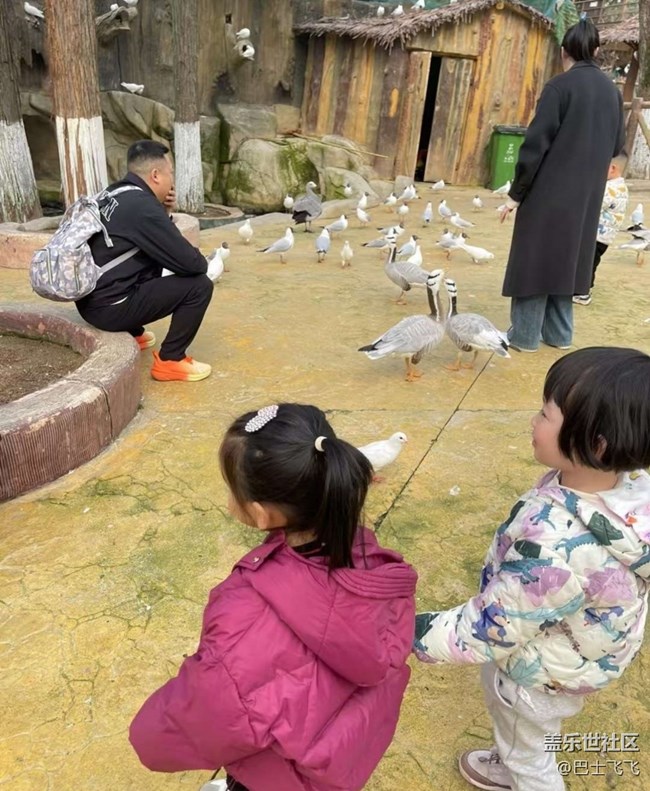 【一人行漫游錄】逛動物園