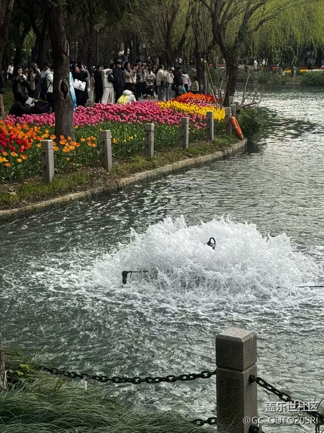 【一人行漫游錄】拍花