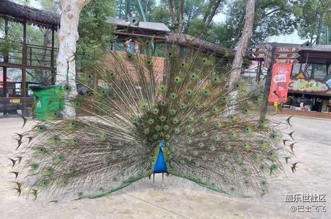 【一人行漫游錄】逛動物園