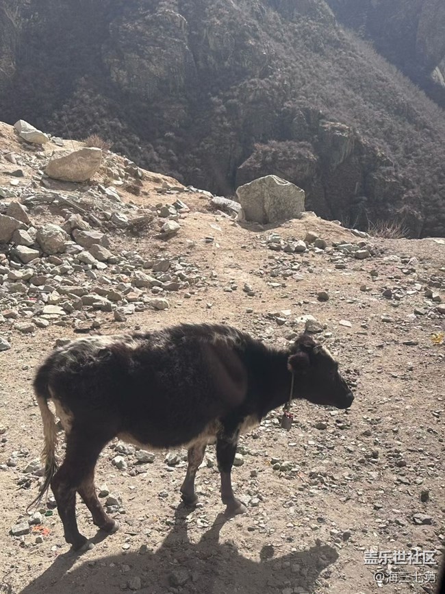 【一人行漫游錄】西藏之旅