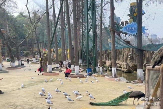 【一人行漫游錄】逛動物園