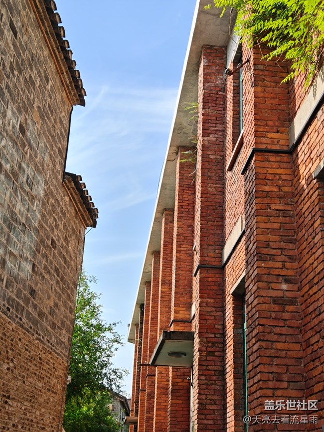 【一人行漫游錄】獨行感悟