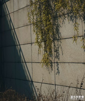 【人間三月】+色彩與時序