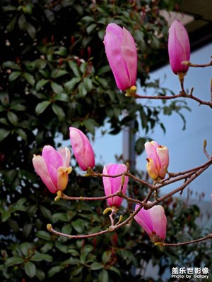 【人間三月】+春的氣息