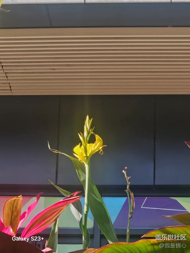 【沐浴春風(fēng)】春風(fēng)吹滿地