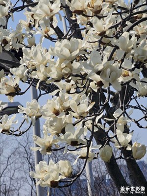 【人間三月】春暖花開