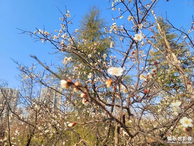 【人間三月】春花季