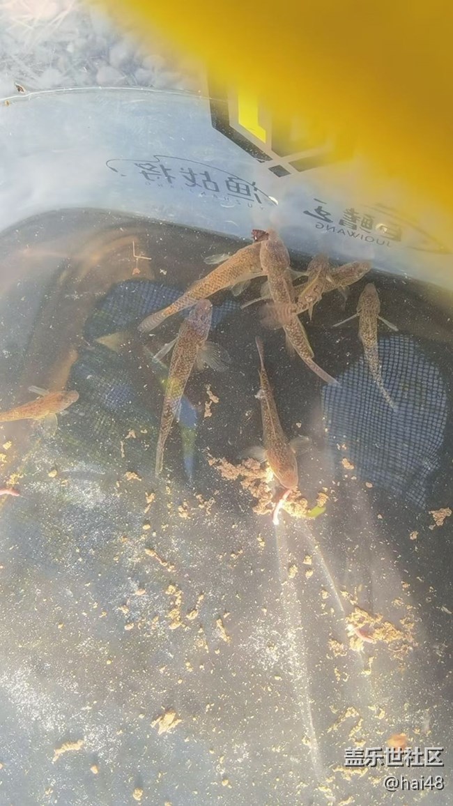 【一人行漫游錄】戶(hù)外