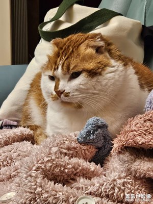 【人間三月】+春回大地