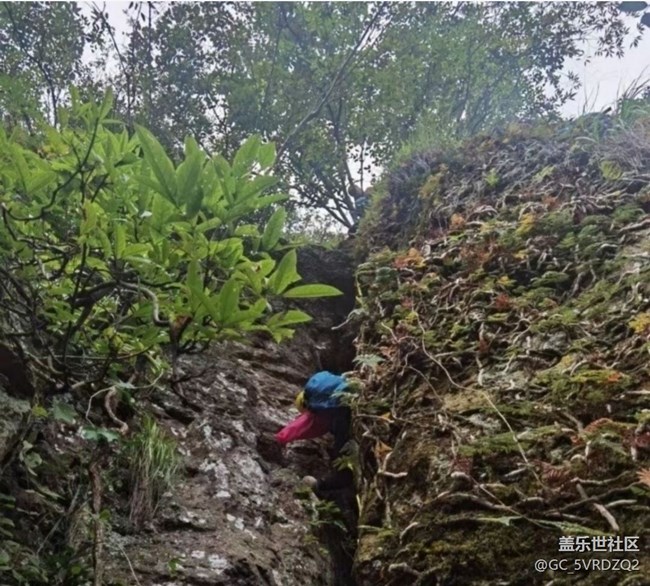 【一人行漫游錄】周末爬山