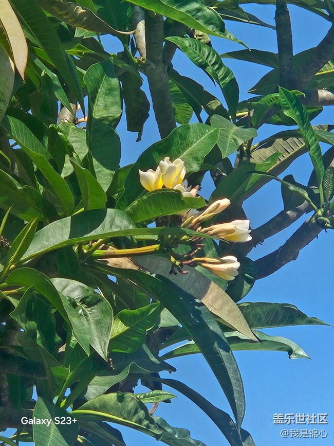 【沐浴春風(fēng)】春風(fēng)吹滿地