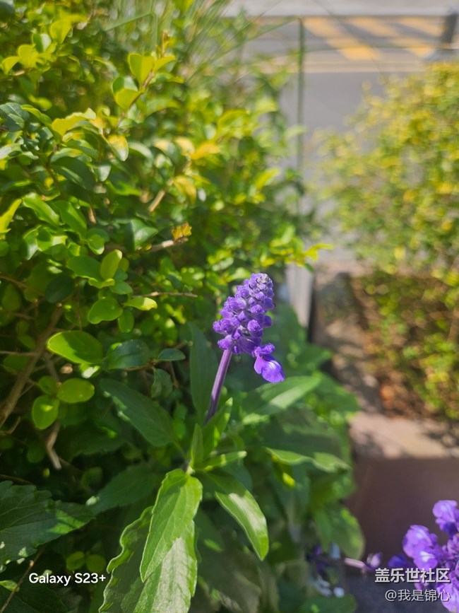 【沐浴春風(fēng)】春風(fēng)吹滿地