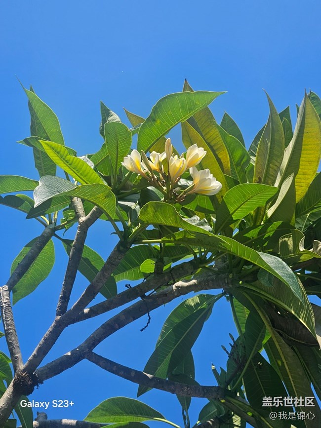 【沐浴春風(fēng)】春風(fēng)吹滿地