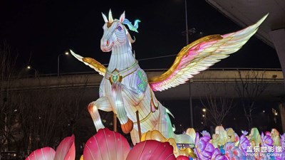 路邊偶遇天馬彩燈。