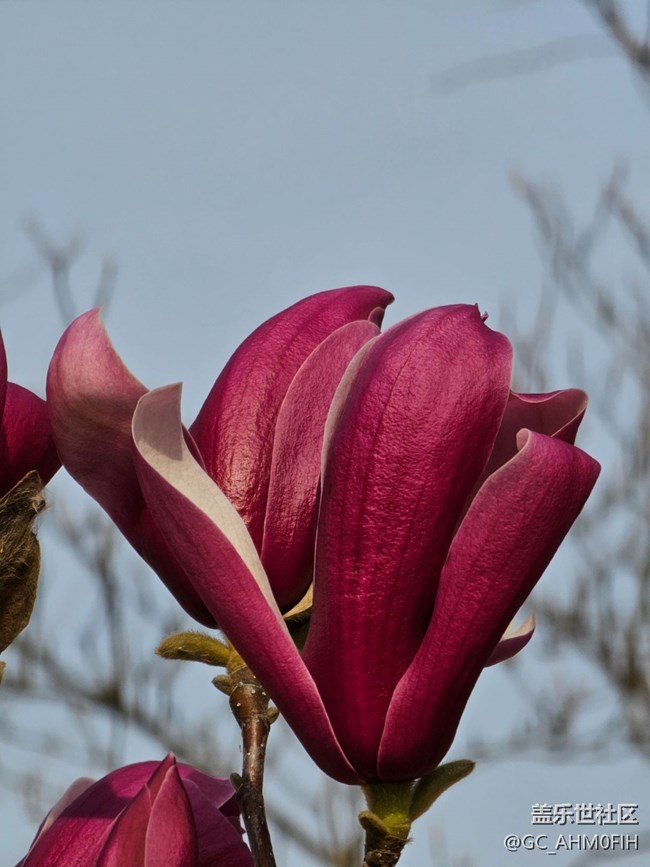 春暖花開（隨手拍）