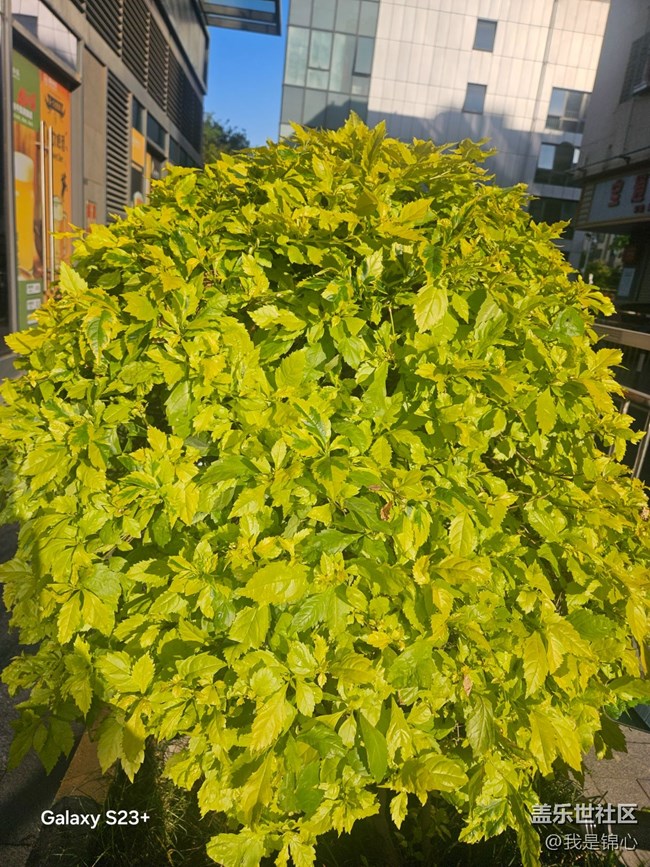 【沐浴春風(fēng)】春風(fēng)吹滿地