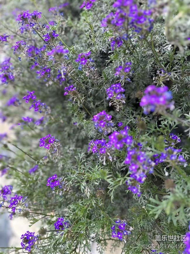 【一人行漫游錄】春色喜人
