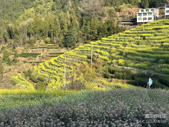 【一人行漫游錄】春色喜人