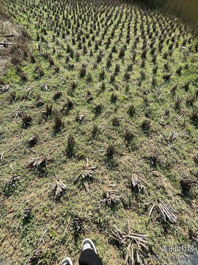 【一人行漫游錄】巡山