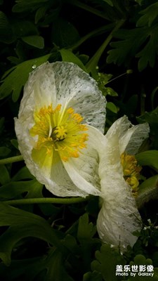 【人間三月】是陰天，又如何？