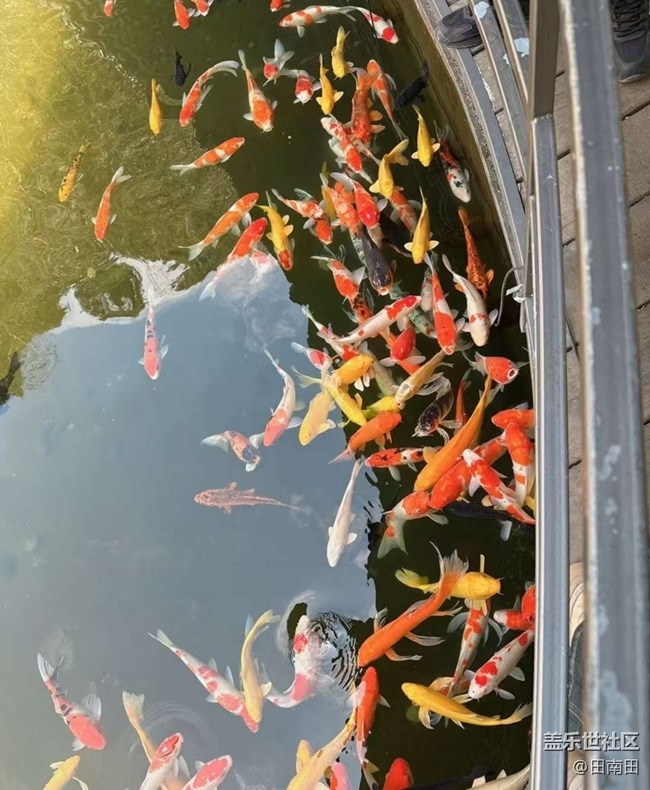 【一人行漫游錄】綠水青山