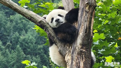 三星過去的老照片