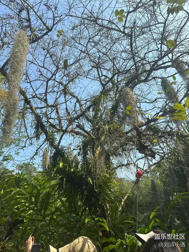 【一人行漫游錄】植物園