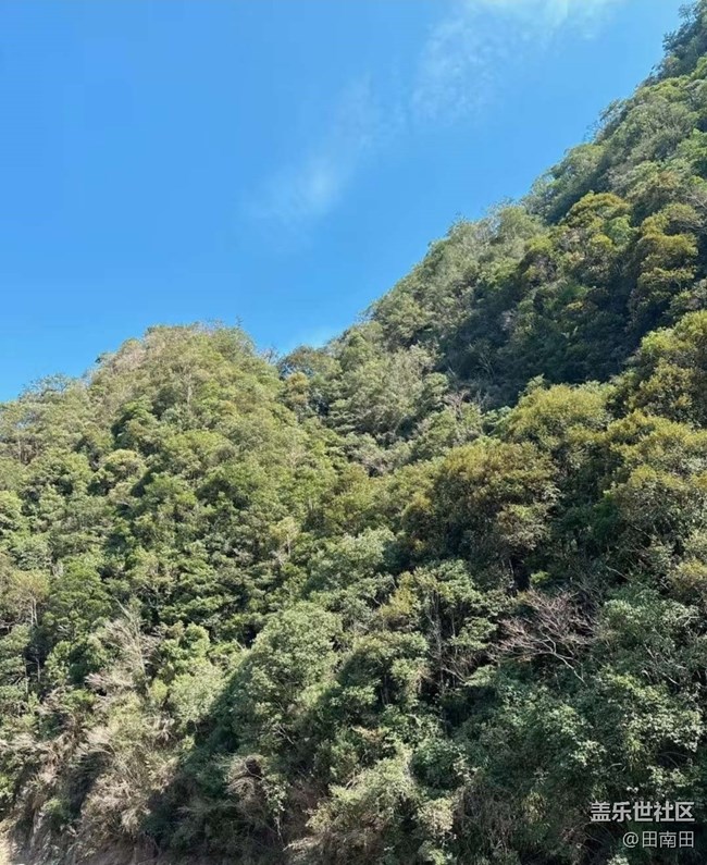 【一人行漫游錄】綠水青山