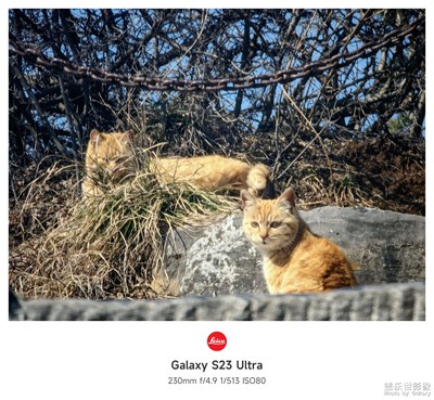 【人間三月】云巔之上