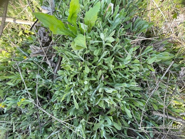 【一人行漫游錄】巡山