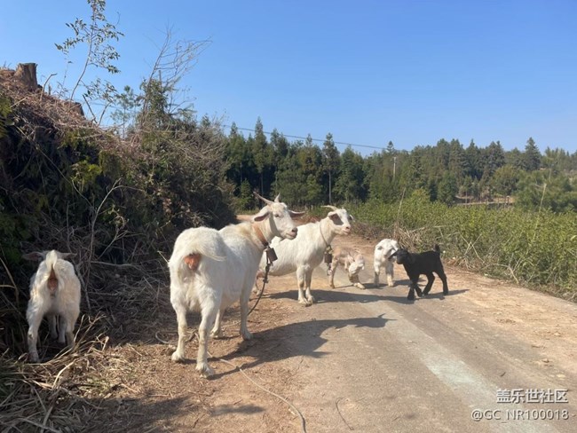 【一人行漫游錄】巡山