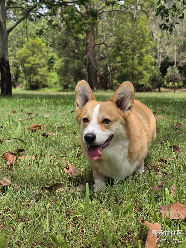 【S26系列韓國文化院之旅】S26 ultra魅力無限