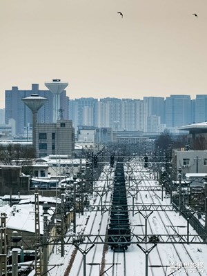 雪國掠影：動靜之間
