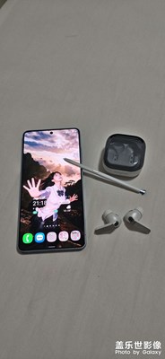 隨手一拍即合月季花??