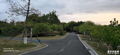 【人間三月】樹木蓊郁，綠意盎然