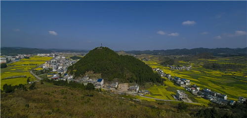 春天的风吹开了油菜花