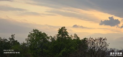 【人間三月】最美三月天