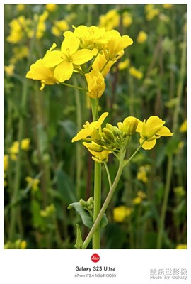 【人間三月】生機(jī)勃勃的時(shí)刻