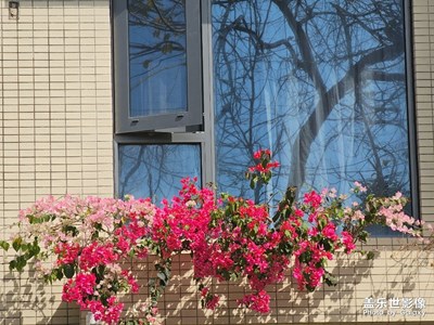 【人間三月】春光正好